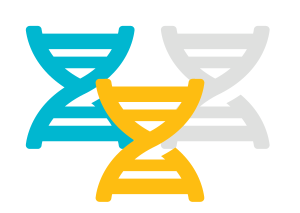 Что такое геном?